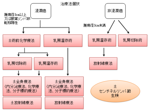 乳がん治療法選択方針